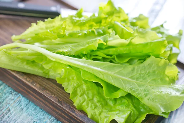 Fräsch sallad — Stockfoto