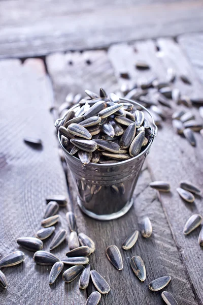 Sunflower seed — Stock Photo, Image