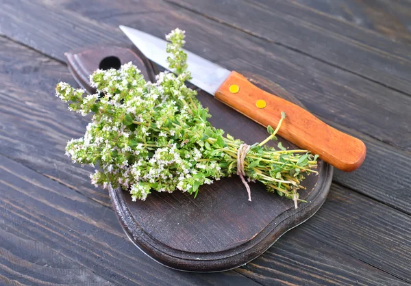 Thyme — Stock Photo, Image