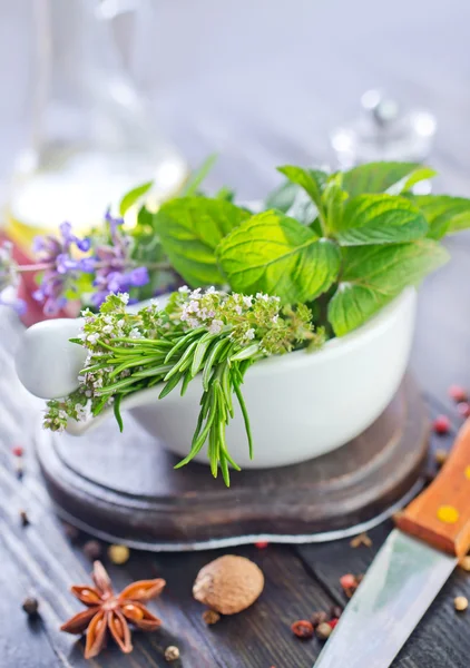 Hierba y especias aromáticas — Foto de Stock