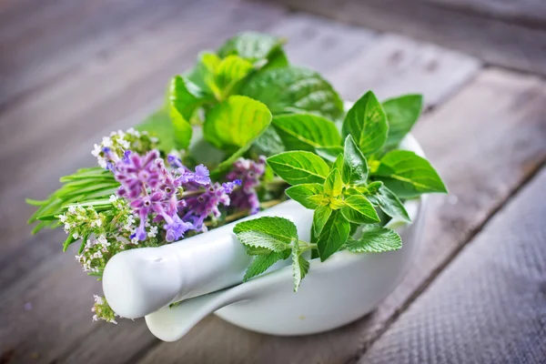 Aroma herb — Stock Photo, Image