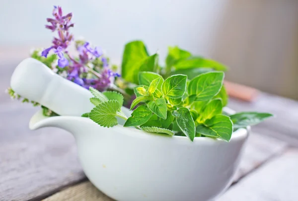 Aroma herb — Stock Photo, Image