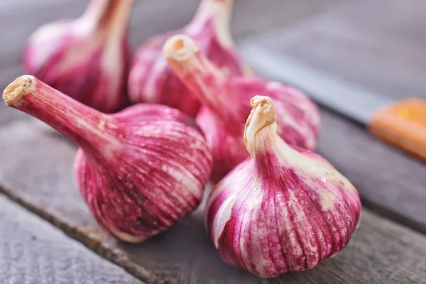 Garlic — Stock Photo, Image