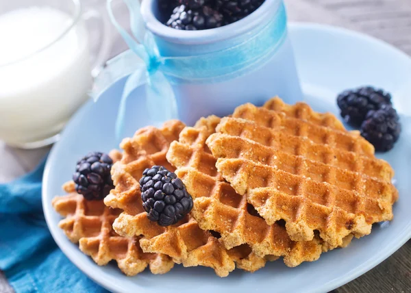 Waffles. — Fotografia de Stock