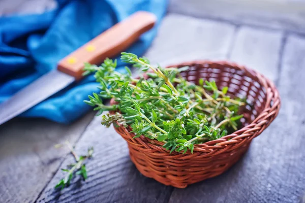 Fresh green Thyme — Stock Photo, Image