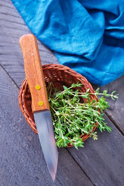 Fresh green Thyme — Stock Photo, Image