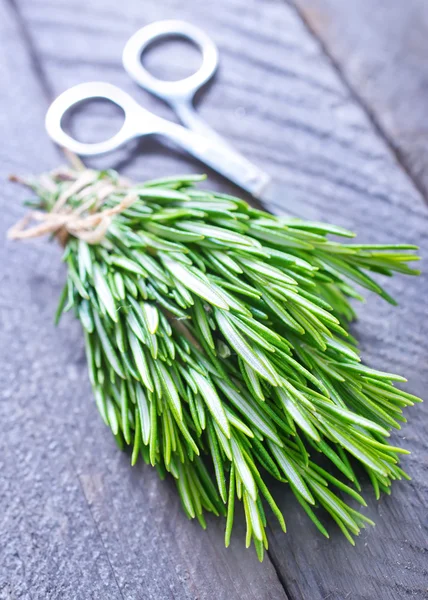 Rosemary — Stock Photo, Image