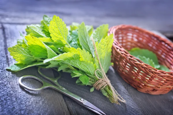 Fresh mint — Stock Photo, Image