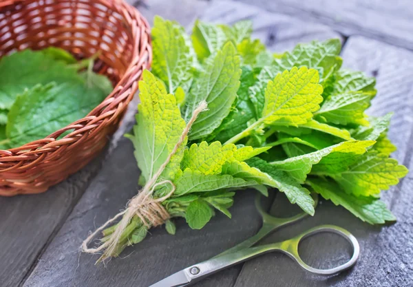 Fresh mint — Stock Photo, Image