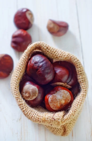 Chesnuts — Zdjęcie stockowe