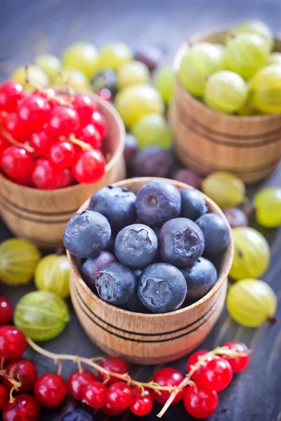 Friss bogyós gyümölcsök — Stock Fotó