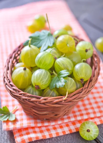 Gooseberry in basket — Stock Photo, Image