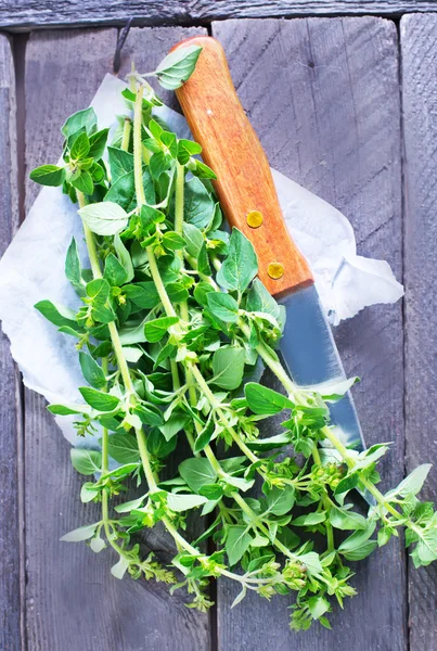 Oregano auf dem Tisch — Stockfoto