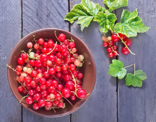 Rote Johannisbeere — Stockfoto