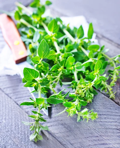 Oregano på bord — Stockfoto