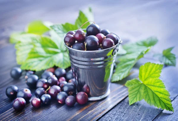 Black currant — Stock Photo, Image