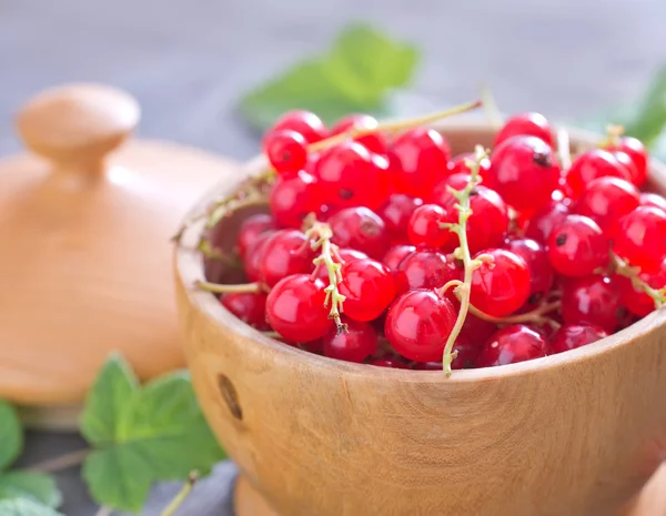 Red currant — Stock Photo, Image