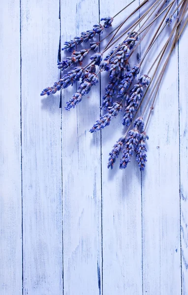 Lavendel op hout — Stockfoto