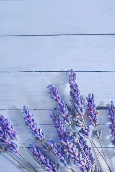 Lavendel auf Holz — Stockfoto
