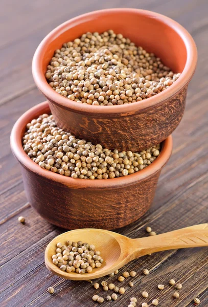 Coriander in bowls — Stock Photo, Image