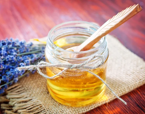 Honung och lavendel — Stockfoto