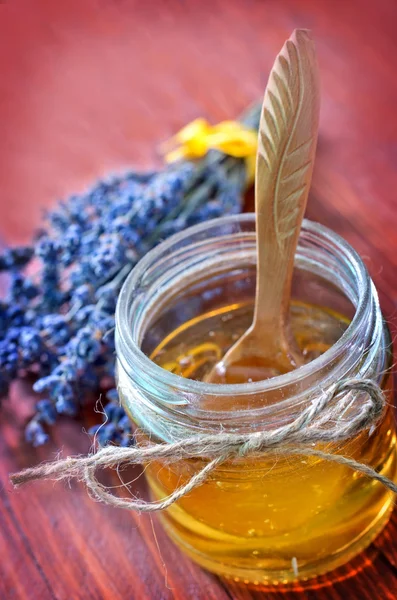 Honung och lavendel — Stockfoto