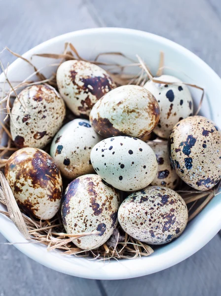 Huevos de codorniz — Foto de Stock