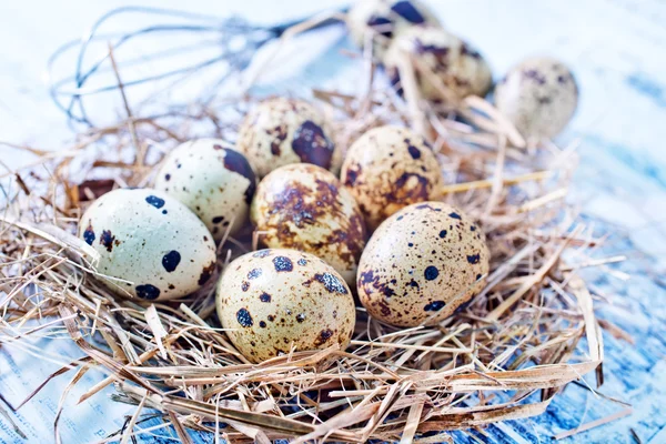 Huevos de codorniz — Foto de Stock