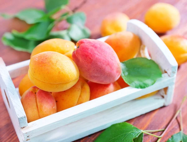 Čerstvé meruňky — Stock fotografie
