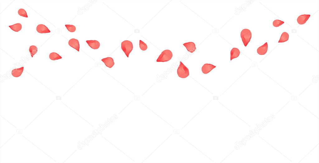 Pink Red flying petals isolated on white background. Sakura Roses petals. Vector EPS 10 cmyk