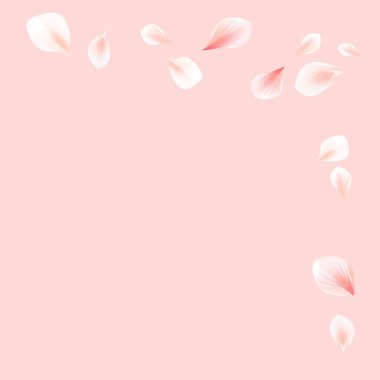 Açık şeftali pembesi arka planda pembe uçan taç yaprakları. Kiraz çiçeği. Çerçeve. Vektör EPS 10 cmyk