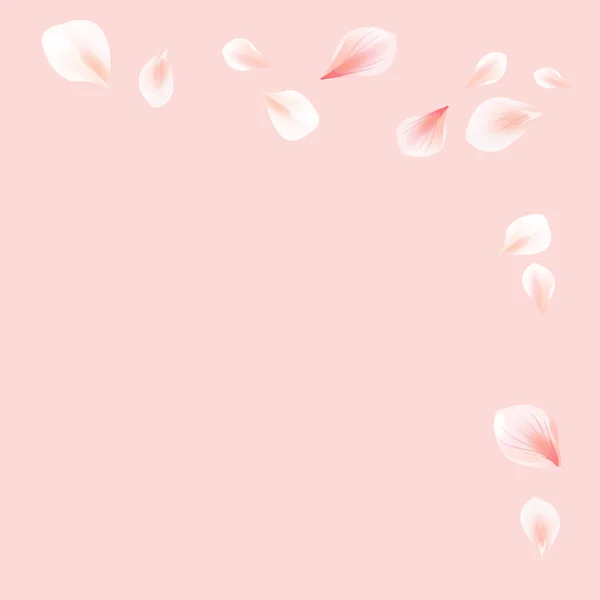 Rosa Fliegende Blütenblätter Isoliert Auf Hellpfirsichrosa Hintergrund Kirschblüte Rahmen Vektor — Stockvektor