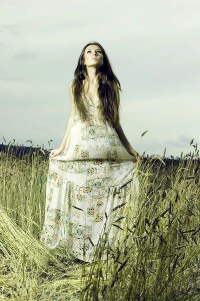 Young woman in the meadow — Stock Photo, Image