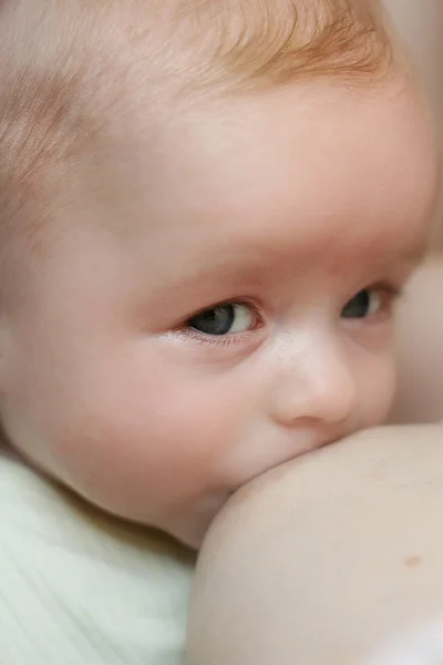 Breastfeeding — Stock Photo, Image