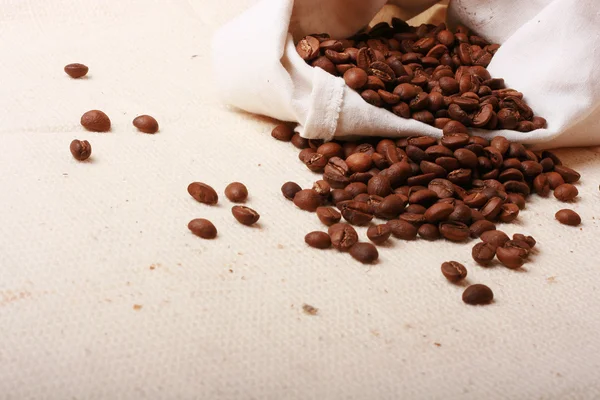 Fresh coffee beans background — Stock Photo, Image