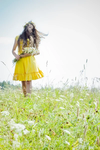 Красивая девушка в зеленом поле — стоковое фото