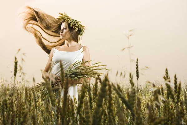 Jeune femme dans la prairie — Photo