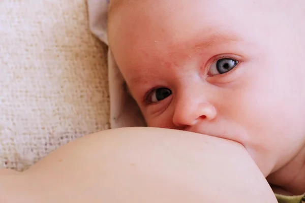 Breastfeeding — Stock Photo, Image