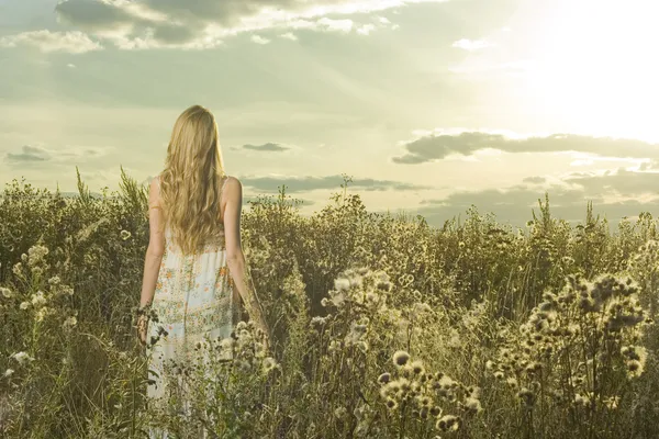 Portrait of beautiful girl in field — Stock Photo, Image