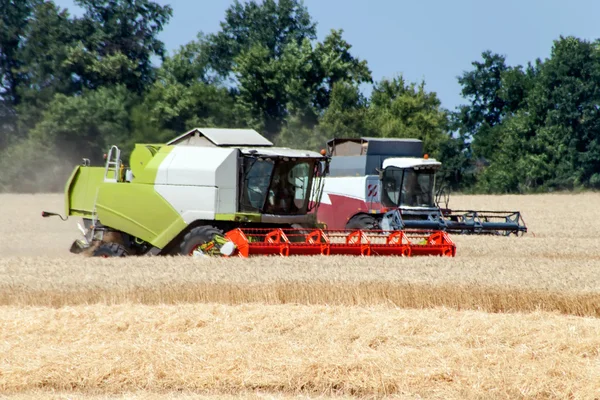Combine harvester working on a wheat field — Stock Photo, Image