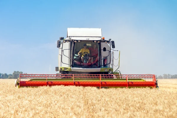 Kombinovat kombajn pracující na pšeničném poli — Stock fotografie
