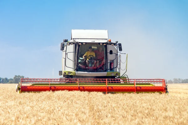 Combine harvester working on a wheat field — Stock Photo, Image