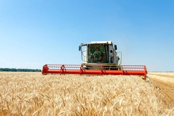 Cosechadora que trabaja en un campo de trigo — Foto de Stock