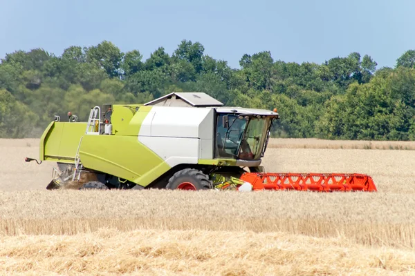 Combine harvester working on a wheat field — Stock Photo, Image