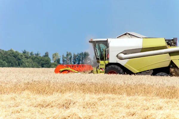 Moissonneuse-batteuse travaillant sur un champ de blé — Photo