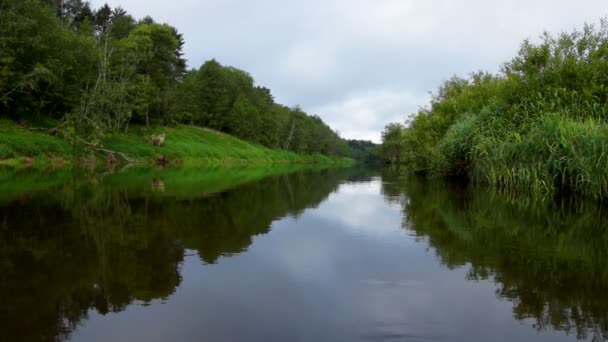 Rivière du matin — Video