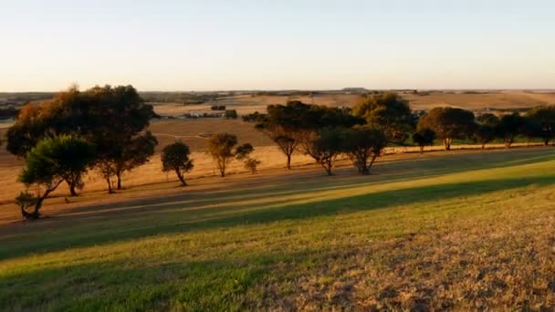 Typisch Australische landschap — Stockvideo