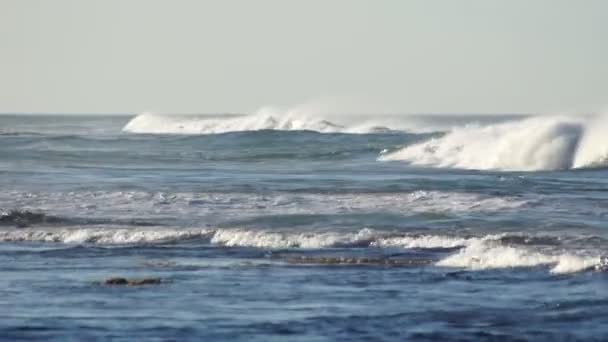 Волны океана — стоковое видео