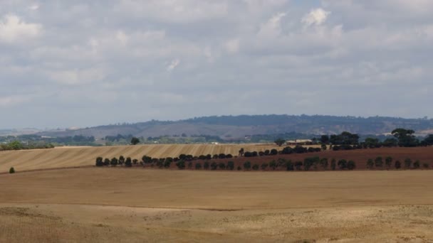 Typcal krajina v Jižní Austrálii — Stock video