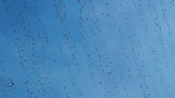 Gotas de agua sobre fondo azul — Vídeos de Stock